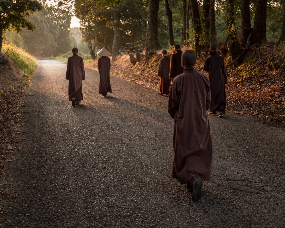 Photo of Thich Nhat Hanh and his fellow monks and nuns walking at sunset