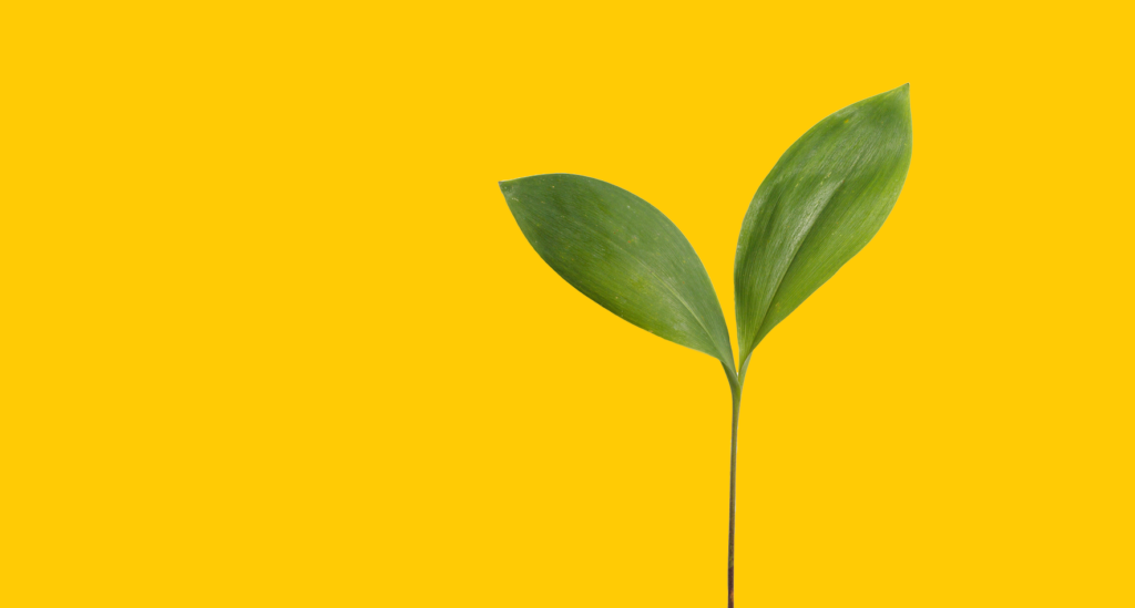 Connecting to Nature with Larry Ward, and Roe v. Wade with Roshi Joan Halifax