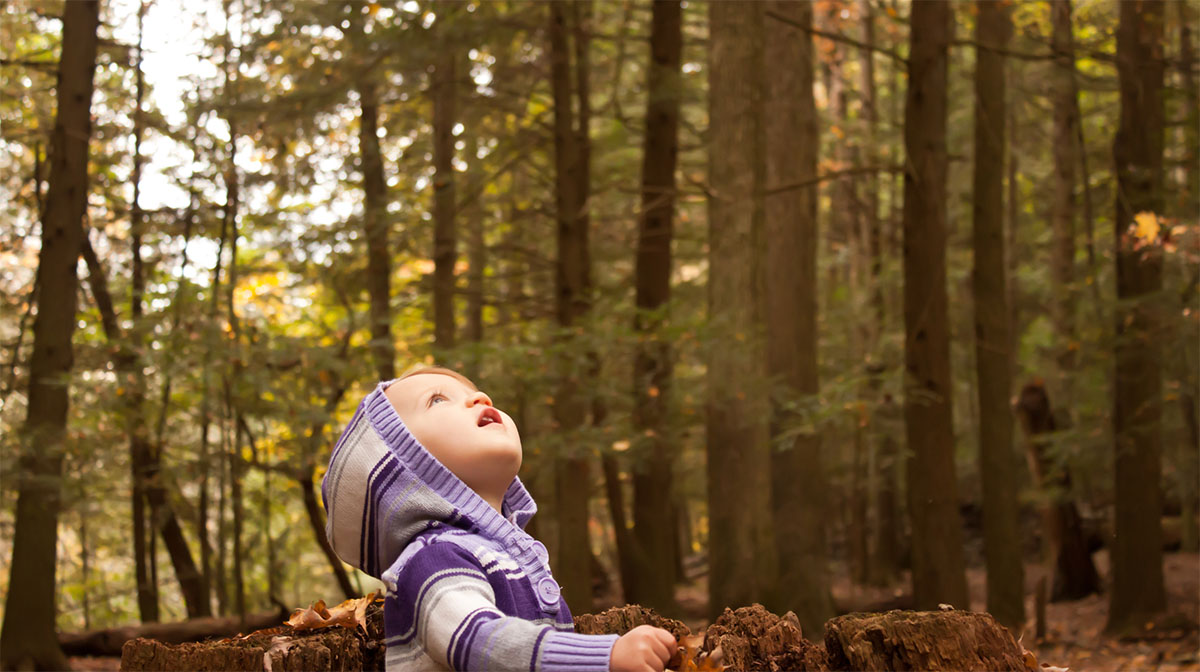 What is Beginner’s Mind (Shoshin)?