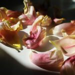 fallen flower petals on a dark table
