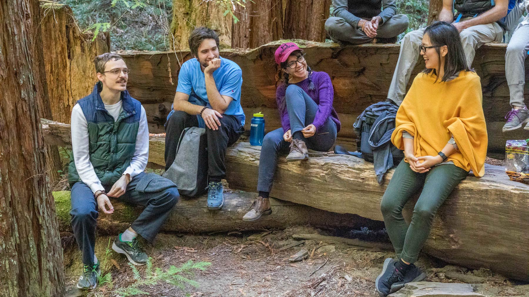 Graduate students, alumni, and staff chat during a group trip to a nearby redwood forest as part of student activities programming.