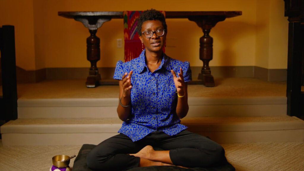 Introduction to Insight Dialogue