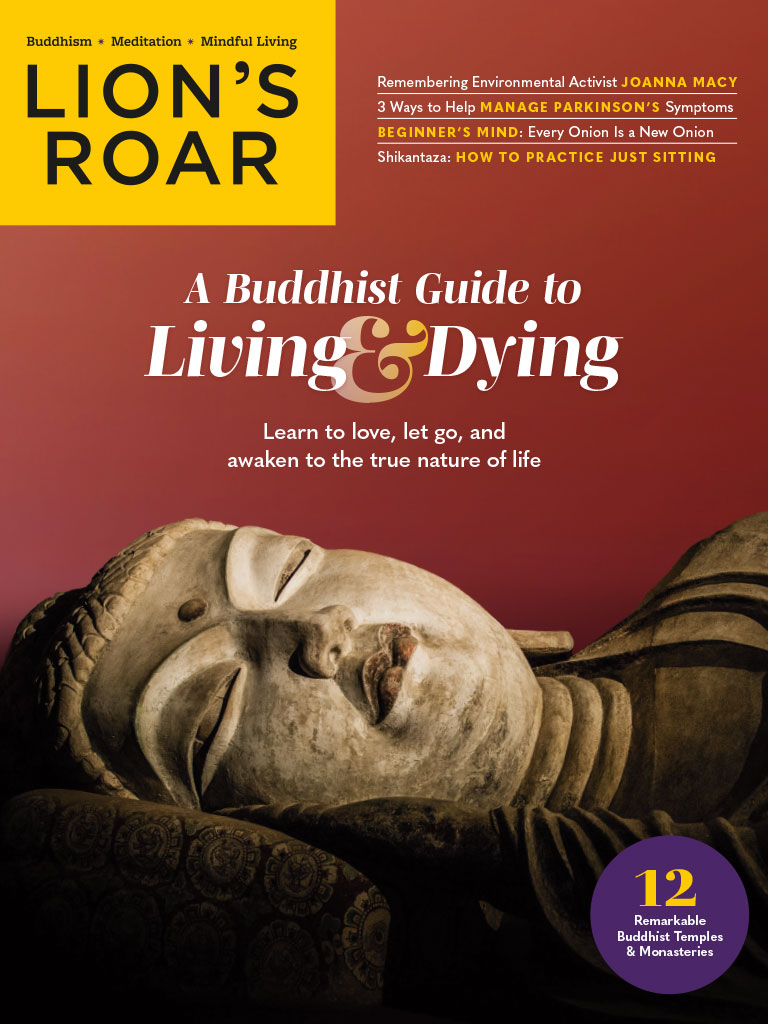 Lion‘s Roar magazine, November 2025 issue