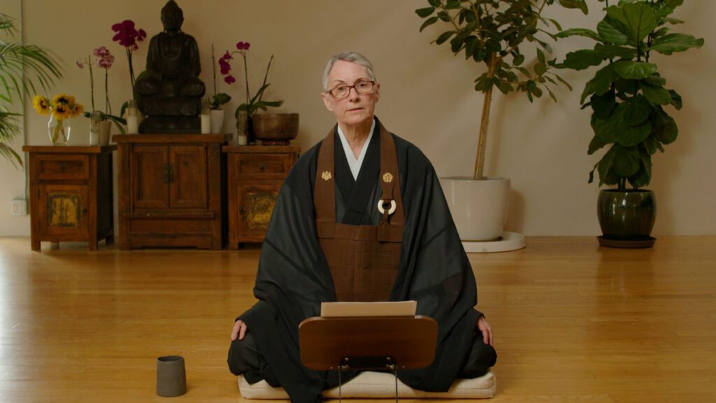 Understanding Koan Practice