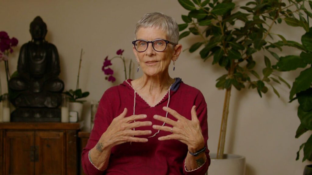 Introduction to Insight Meditation