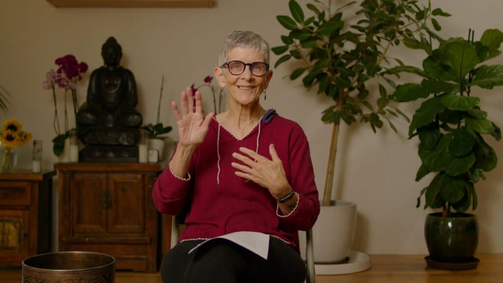 Understanding Insight Practice