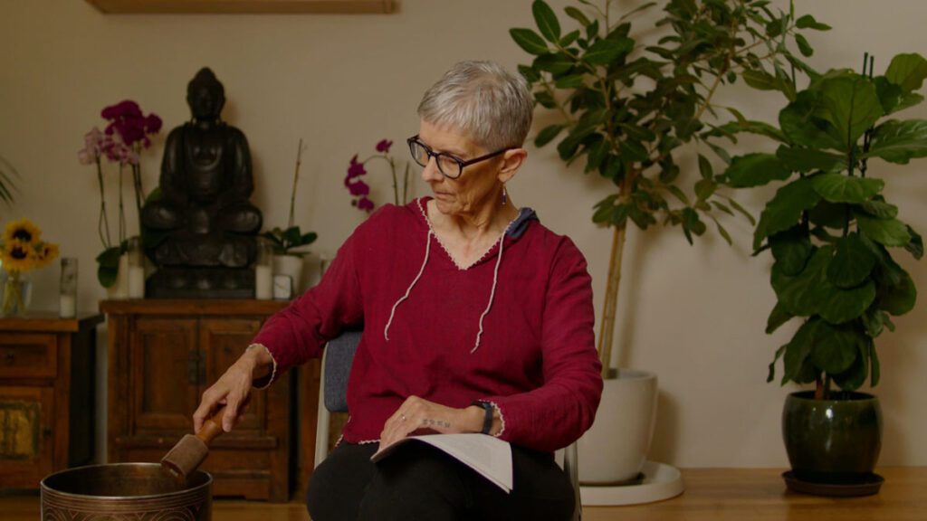 Guided Insight Meditation